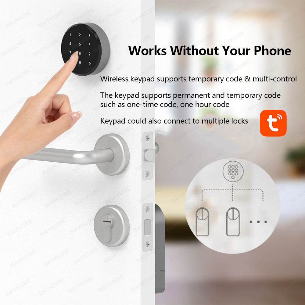 RAYKUBE A1 Pro Tuya BEL Smart  - Home Security Door Lock recension och pris